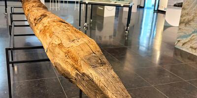 Expo Bult in zicht