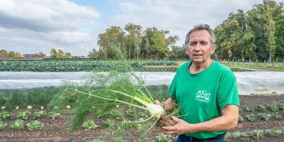 Ons Dagelijks Groen Meldert