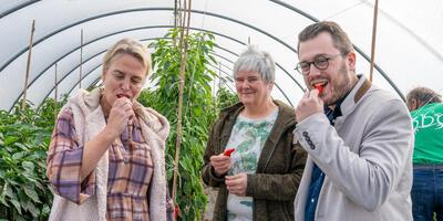 Ons Dagelijks Groen Meldert