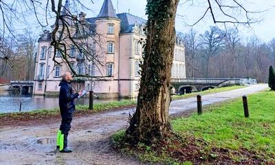 De bomen aan het Kasteel van Poeke
