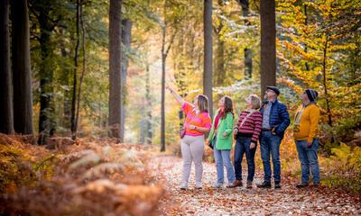 Week van het Bos