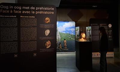 Expo Oog in oog met de prehistorie