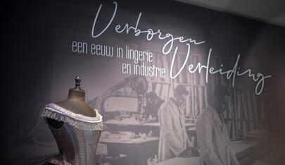 Verborgen Verleiding poster
